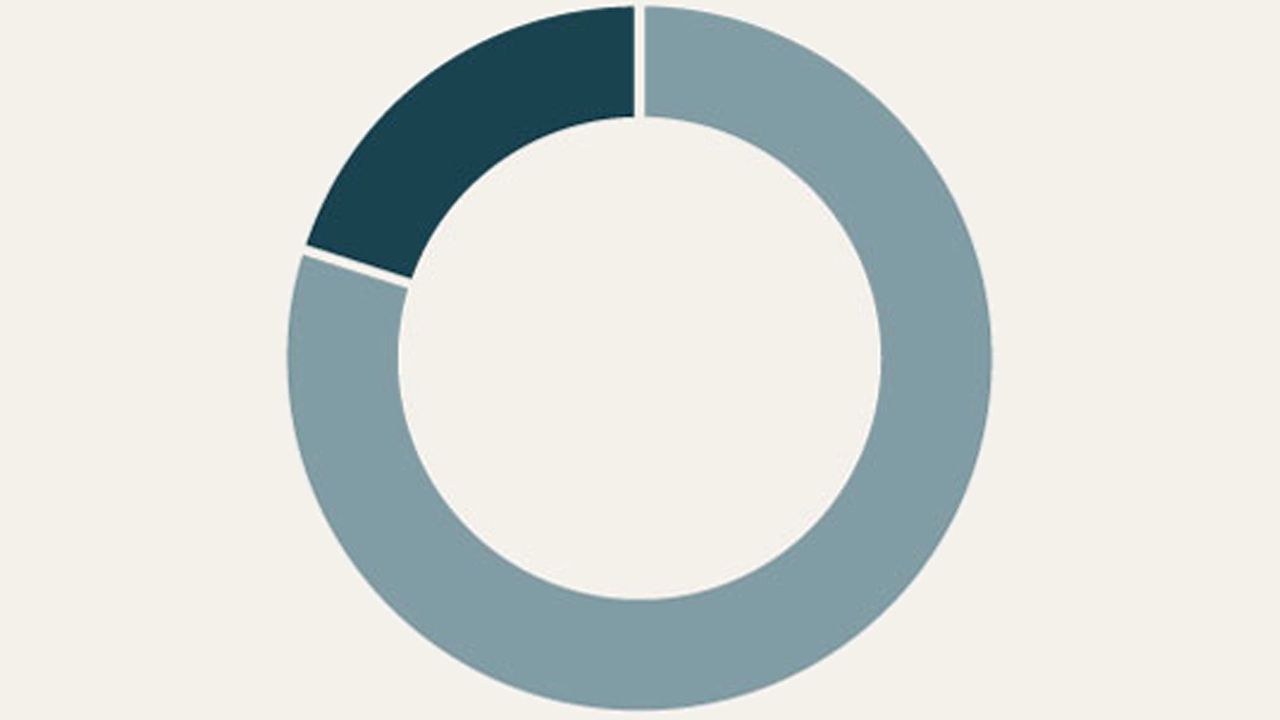 Mit seiner Bandbreite bei der Aktienfondsquote von 0 bis 80 % richtet sich der Fonds an Anlegerinnen und Anleger, die auf eine dynamische, renditeorientierte Strategie setzen wollen.