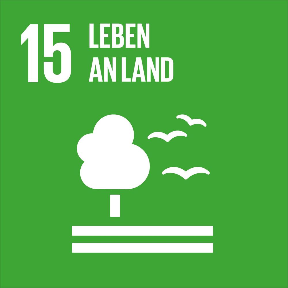 Icon UN-Nachhaltigkeitsziel 15. Leben an Land