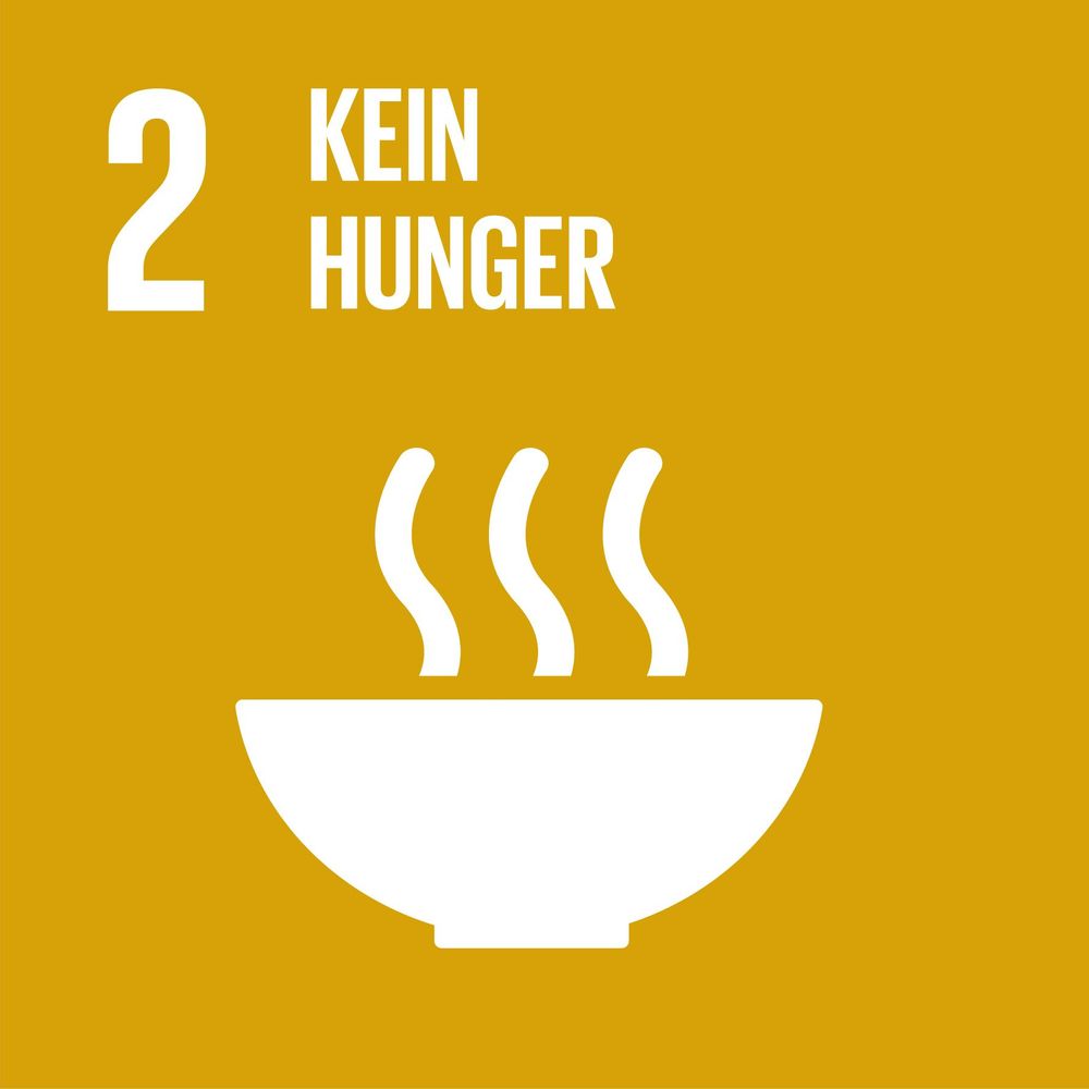 Icon UN-Nachhaltigkeitsziel 2. Kein Hunger