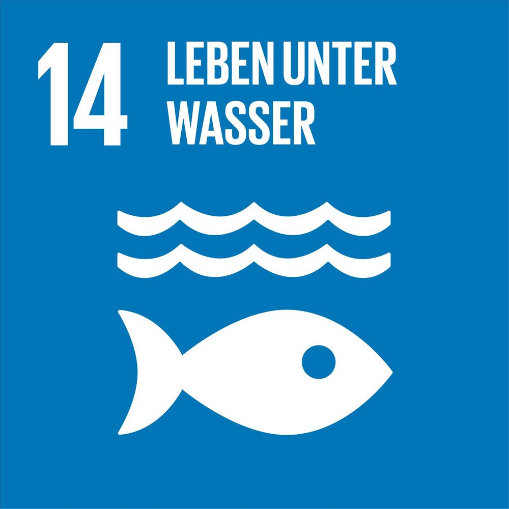 Icon UN-Nachhaltigkeitsziel 14. Leben unter Wasser